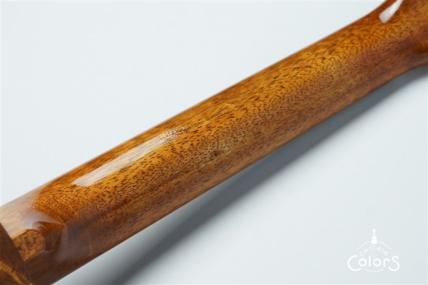 ECO-C+ - Koa